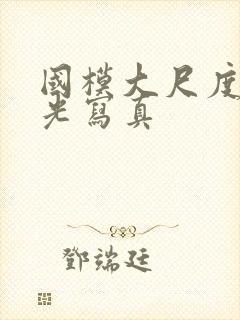 国模大尺度无圣光写真