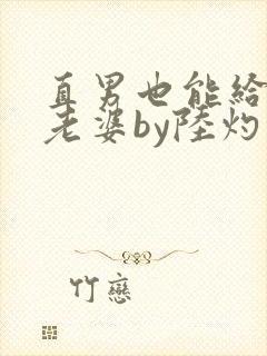 直男也能给人当老婆by陆灼言