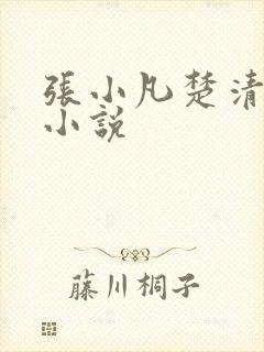 张小凡楚清璇的小说