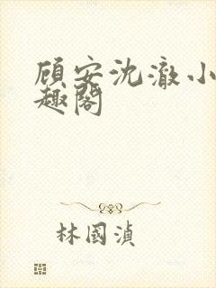 顾安沈澈小说笔趣阁