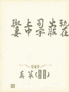 与上司出轨的人妻中字版在线全集