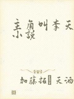 主角叫李天宇的小说