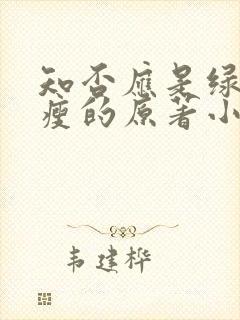 知否应是绿肥红瘦的原著小说txt下载封面