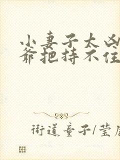 小妻子太凶,陆爷把持不住了封面