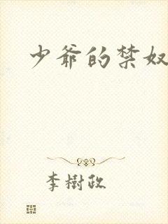 少爷的禁奴封面