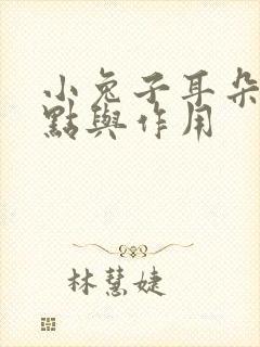 小兔子耳朵的特点与作用