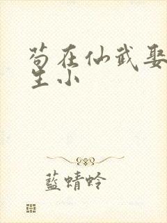 苟在仙武娶妻长生小