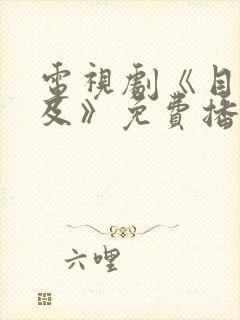 电视剧《目之所及》免费播放