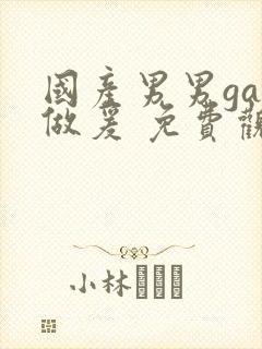 国产男男gay做爰 免费观看