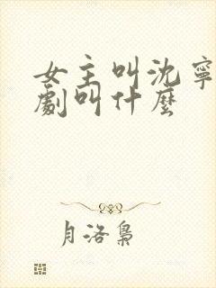 女主叫沈宁的短剧叫什么封面