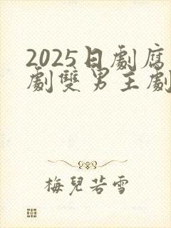 2025日剧腐剧双男主剧