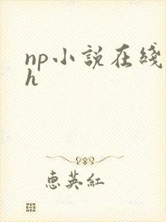 np小说在线高h封面