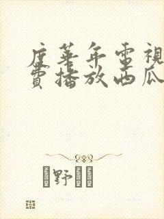 度华年电视剧免费播放西瓜网