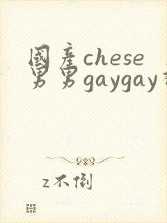国产chese男男gaygay视频网站