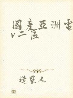 国产亚洲电影av二区