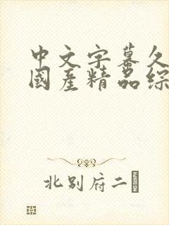 中文字幕久久久国产精品综合