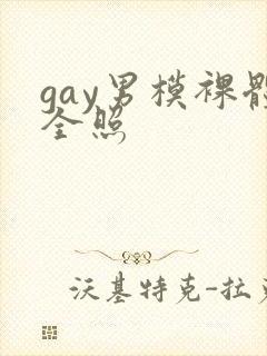 gay男模裸体全照