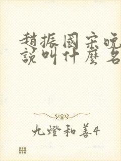 赵振国宋晚清小说叫什么名字