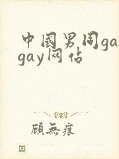 中国男同gaygay网站封面