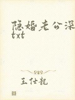 隐婚老公深夜来txt