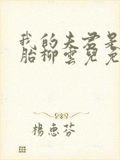 我的夫君是双胞胎柳云儿免费阅读