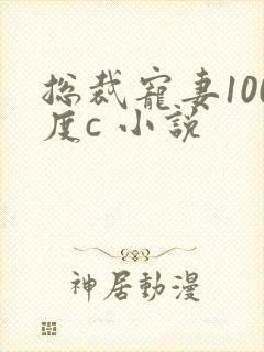 总裁宠妻100度c 小说