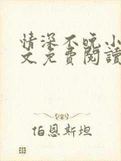 情深不晚小说全文免费阅读封面