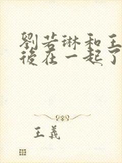 刘若琳和王强最后在一起了吗封面