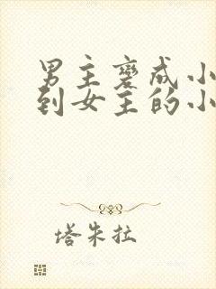 男主变成小孩遇到女主的小说