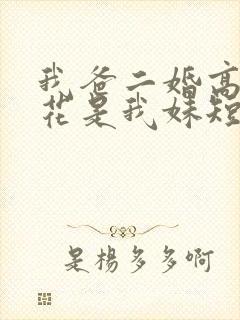 我爸二婚高冷校花是我妹短剧演员表封面