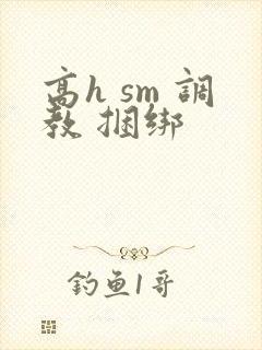高h sm 调教 捆绑