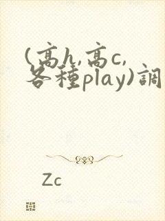 (高h,高c,各种play)调教小说