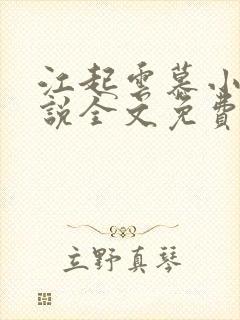 江起云慕小乔小说全文免费阅读封面