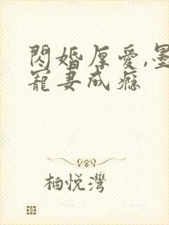 闪婚厚爱,墨少宠妻成瘾封面