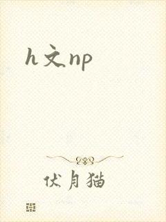 h文np封面