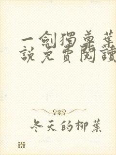 一剑独尊叶玄小说免费阅读