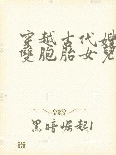 穿越古代嫂嫂送双胞胎女儿的小说免