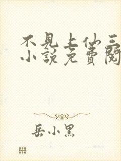 不见上仙三百年小说免费阅读无弹窗封面