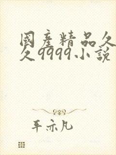 国产精品久久久久9999小说