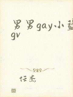 男男gay小蓝gv