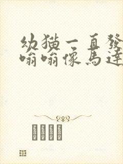 幼猫一直发出嗡嗡嗡像马达的声音