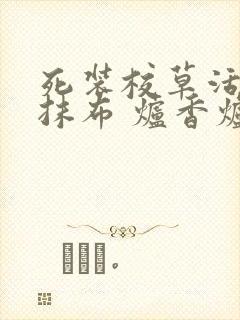 死装校草活该被抹布 炉香炉香