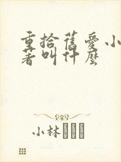 重拾旧爱小说原著叫什么