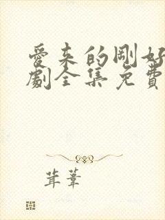 爱来的刚好电视剧全集免费观看