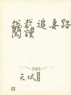 总裁追妻路漫漫阅读