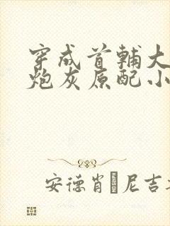 穿成首辅大人的炮灰原配小说