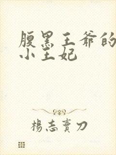 腹黑王爷的萌宠小王妃