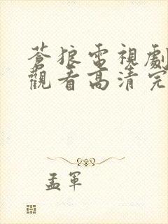 苍狼电视剧在线观看高清完整免费