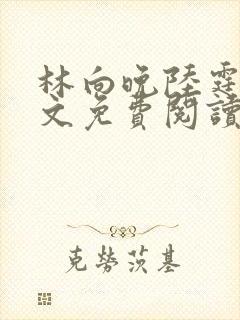 林向晚陆霆琛全文免费阅读封面