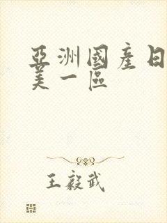 亚洲国产日韩欧美一区